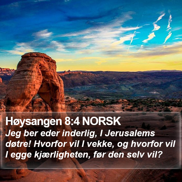 Høysangen 8:4 NORSK Bible Study