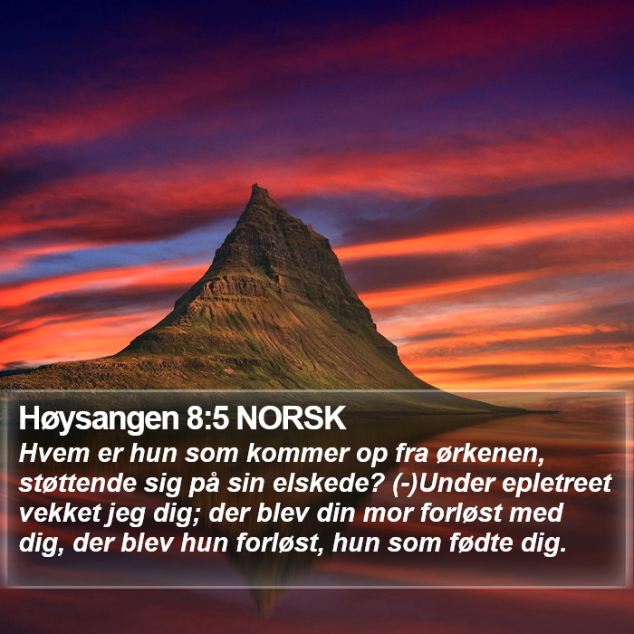 Høysangen 8:5 NORSK Bible Study