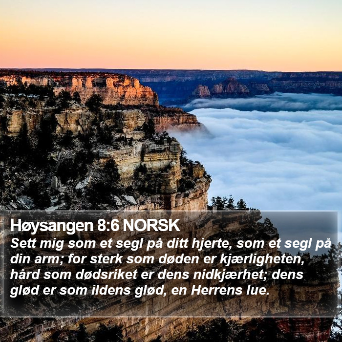 Høysangen 8:6 NORSK Bible Study