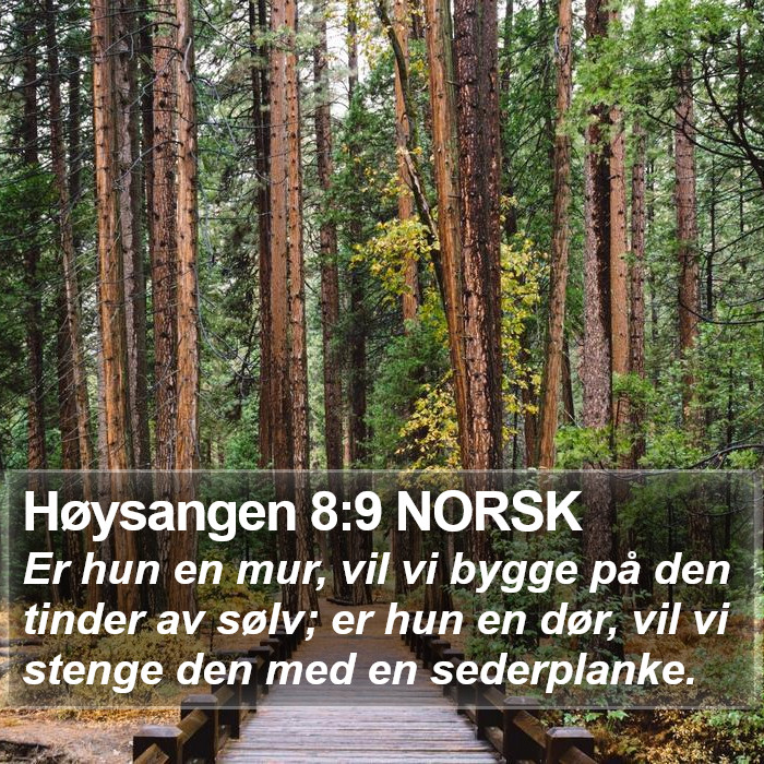 Høysangen 8:9 NORSK Bible Study