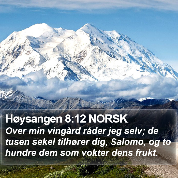 Høysangen 8:12 NORSK Bible Study