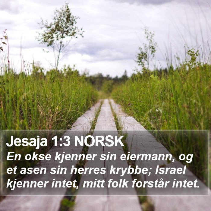 Jesaja 1:3 NORSK Bible Study