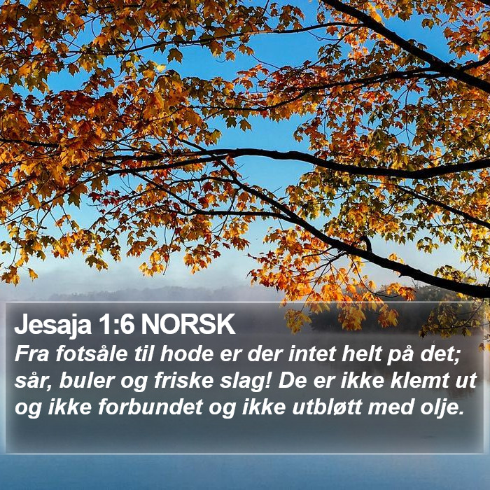 Jesaja 1:6 NORSK Bible Study