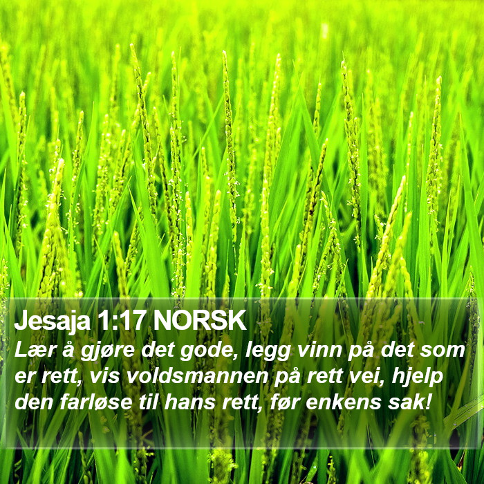 Jesaja 1:17 NORSK Bible Study