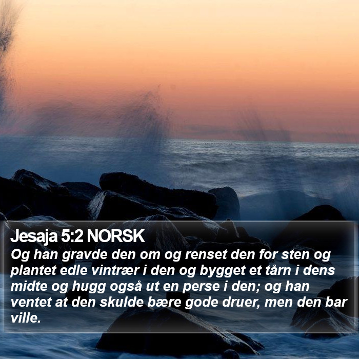 Jesaja 5:2 NORSK Bible Study