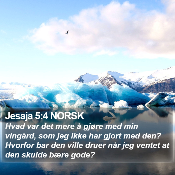 Jesaja 5:4 NORSK Bible Study