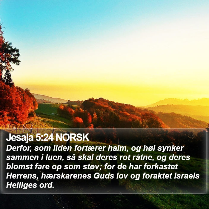 Jesaja 5:24 NORSK Bible Study