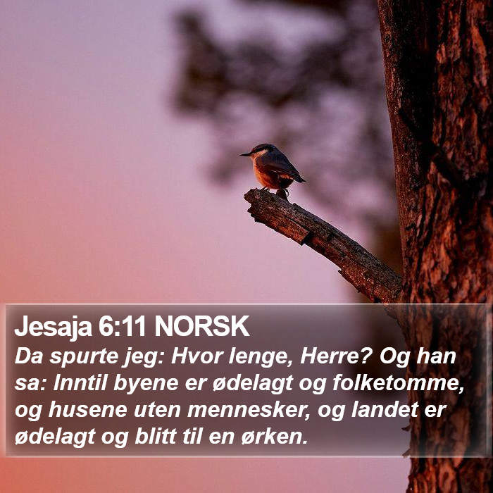 Jesaja 6:11 NORSK Bible Study