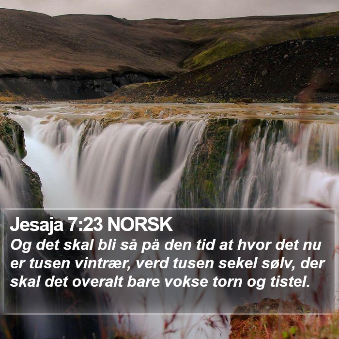 Jesaja 7:23 NORSK Bible Study