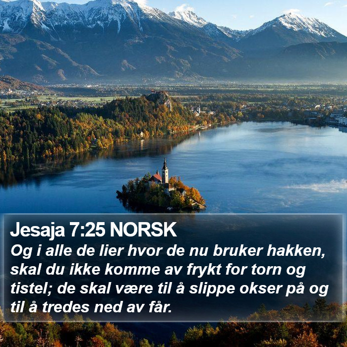 Jesaja 7:25 NORSK Bible Study