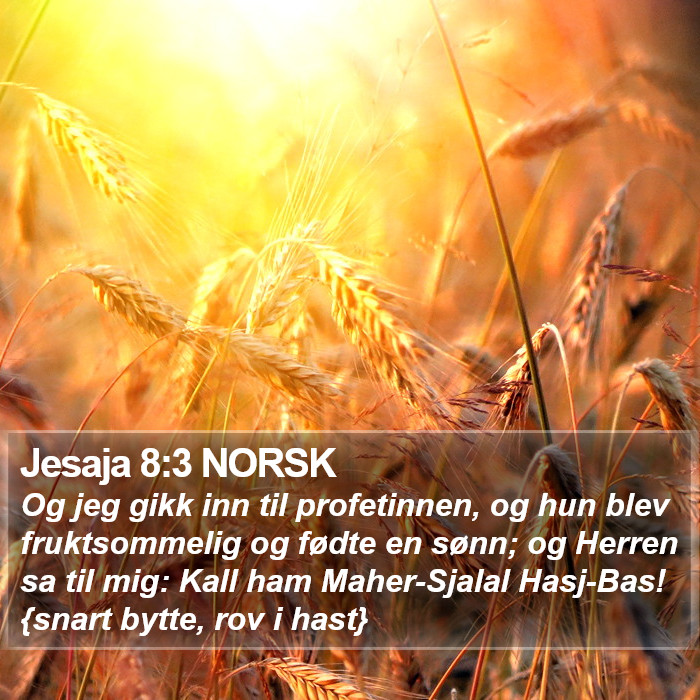 Jesaja 8:3 NORSK Bible Study