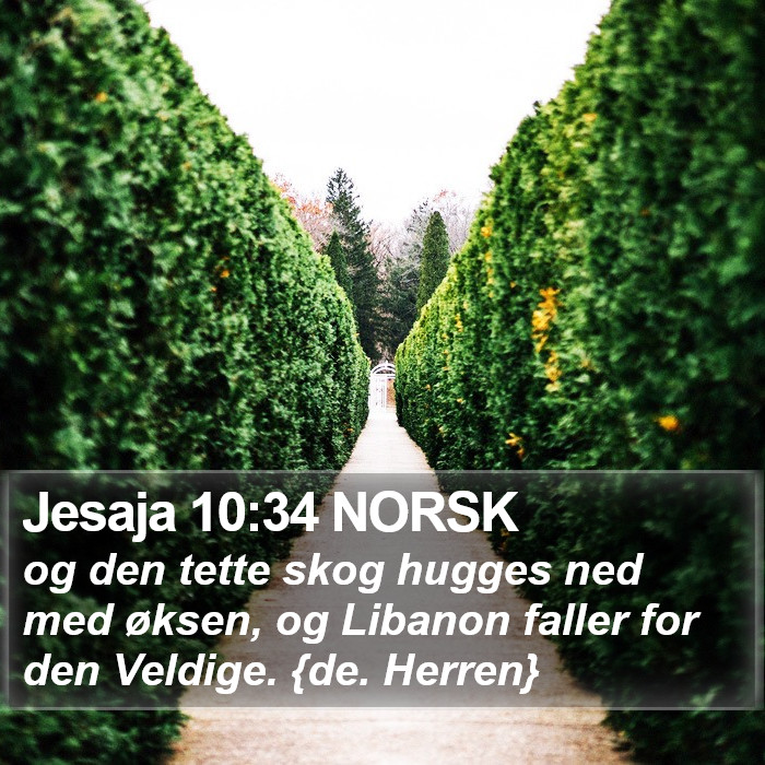 Jesaja 10:34 NORSK Bible Study
