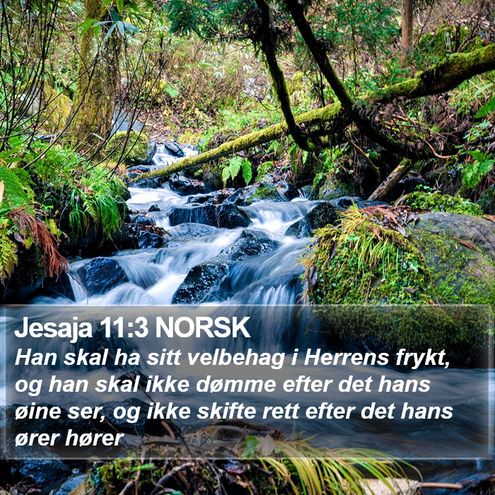 Jesaja 11:3 NORSK Bible Study