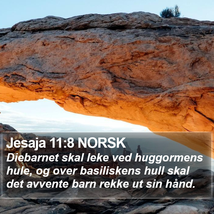 Jesaja 11:8 NORSK Bible Study