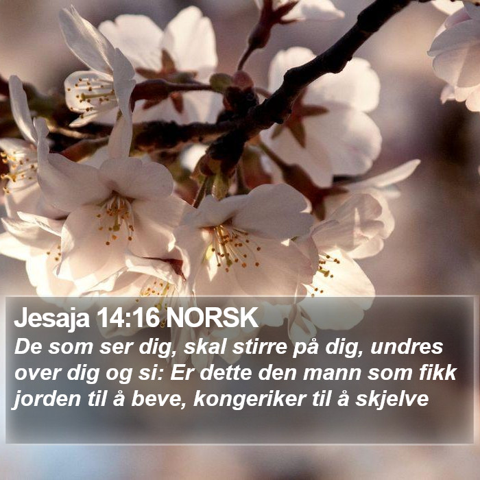 Jesaja 14:16 NORSK Bible Study