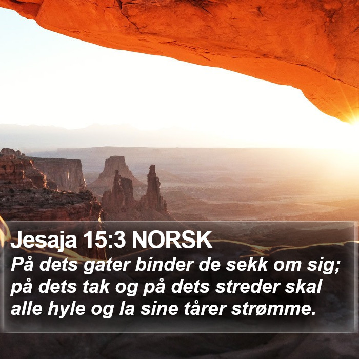 Jesaja 15:3 NORSK Bible Study