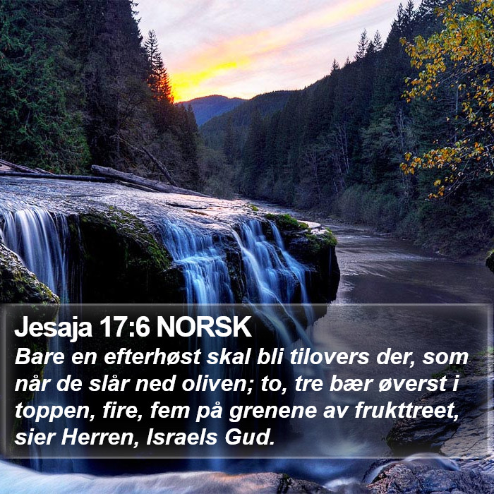 Jesaja 17:6 NORSK Bible Study