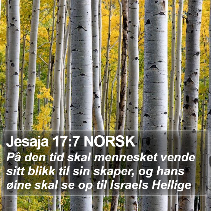 Jesaja 17:7 NORSK Bible Study