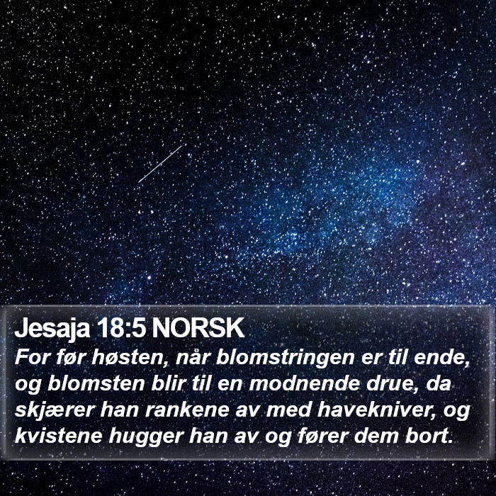 Jesaja 18:5 NORSK Bible Study