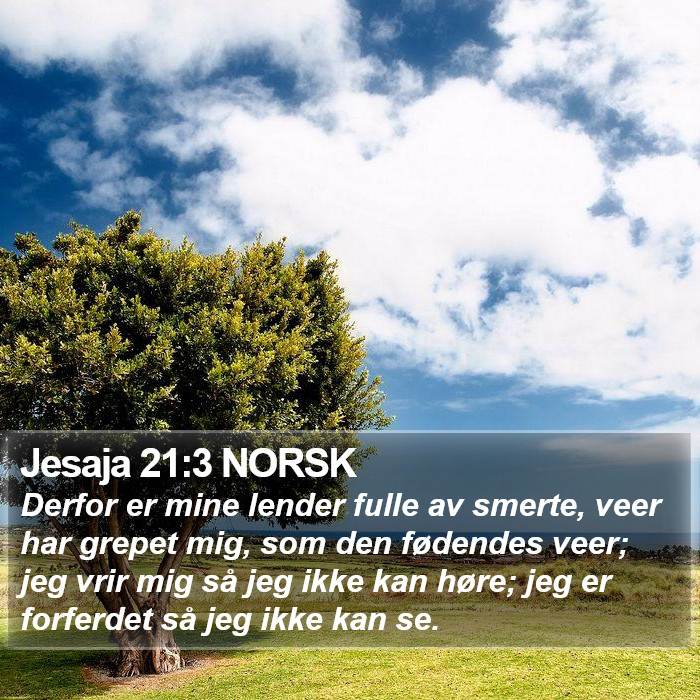 Jesaja 21:3 NORSK Bible Study