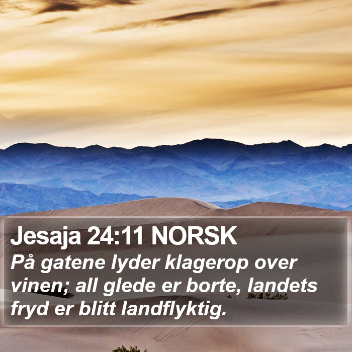 Jesaja 24:11 NORSK Bible Study