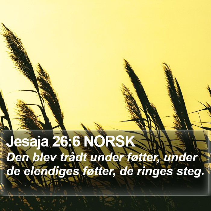 Jesaja 26:6 NORSK Bible Study