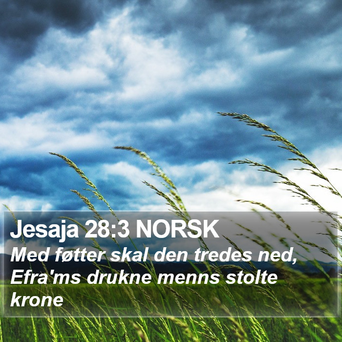 Jesaja 28:3 NORSK Bible Study