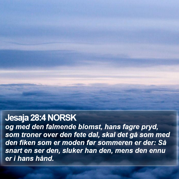 Jesaja 28:4 NORSK Bible Study