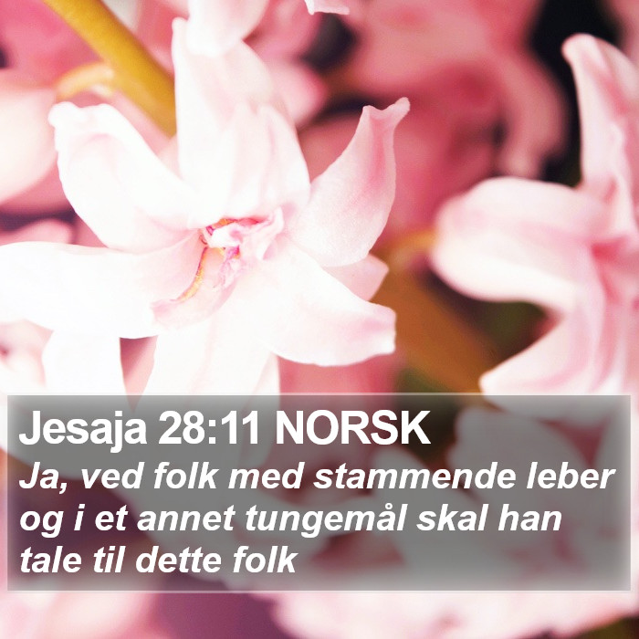 Jesaja 28:11 NORSK Bible Study