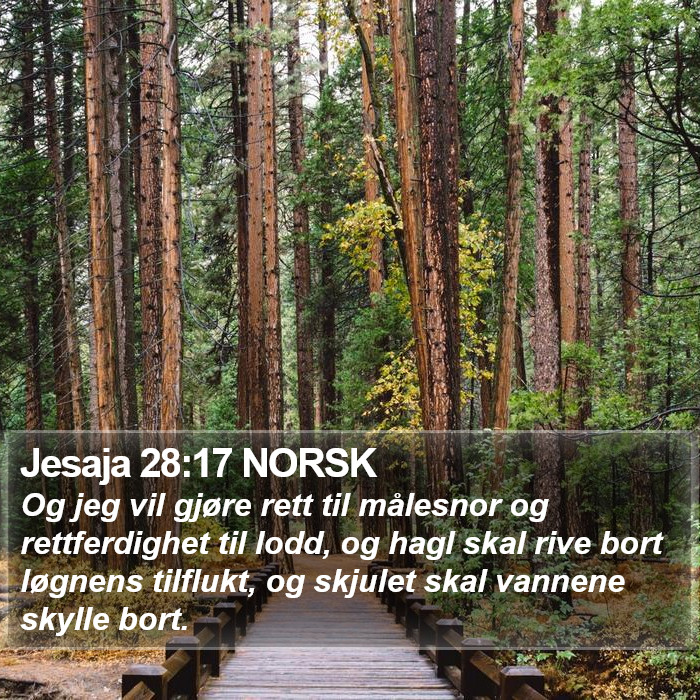 Jesaja 28:17 NORSK Bible Study