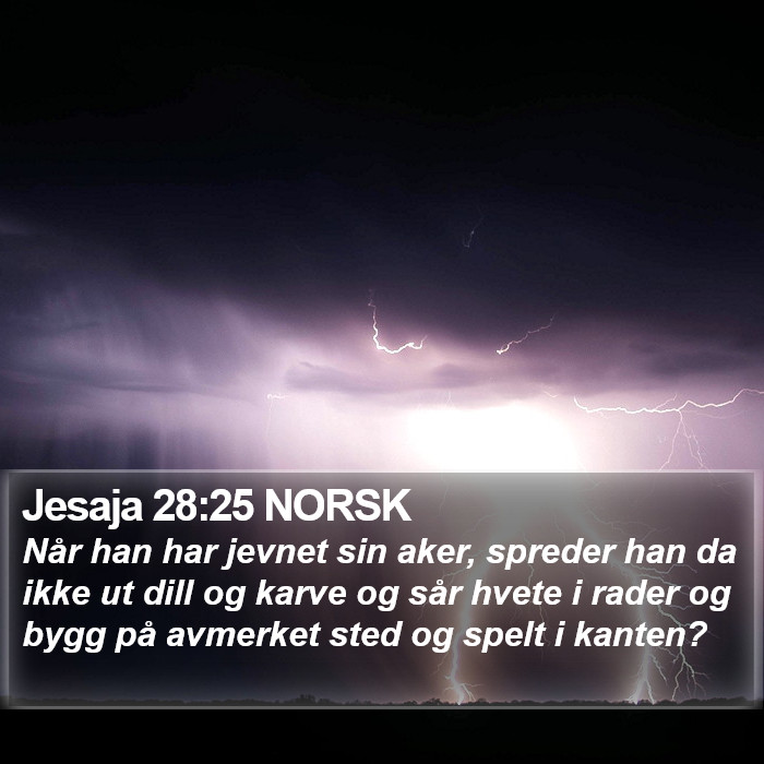 Jesaja 28:25 NORSK Bible Study