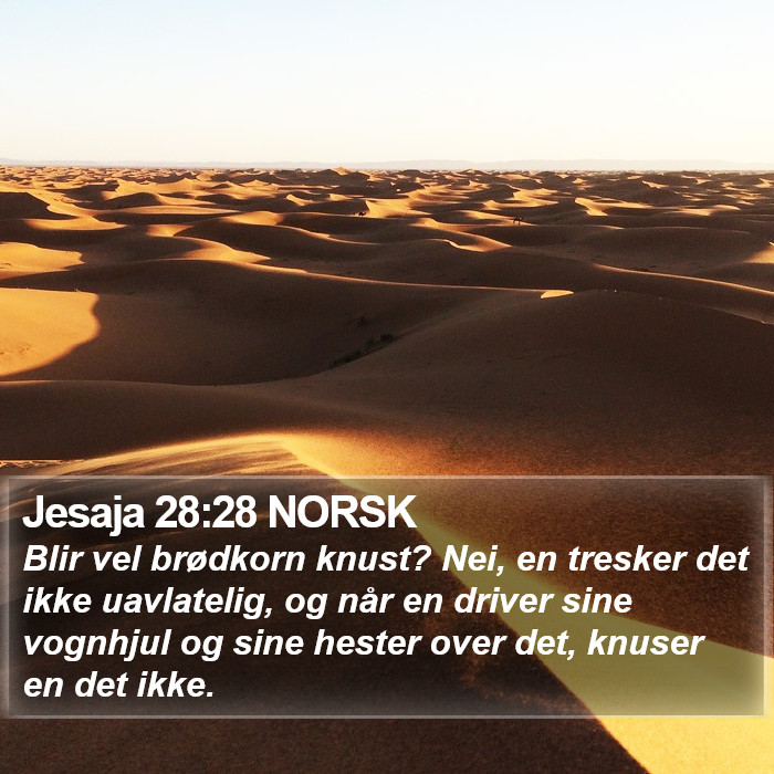 Jesaja 28:28 NORSK Bible Study