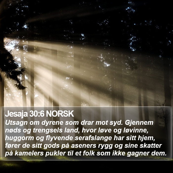 Jesaja 30:6 NORSK Bible Study