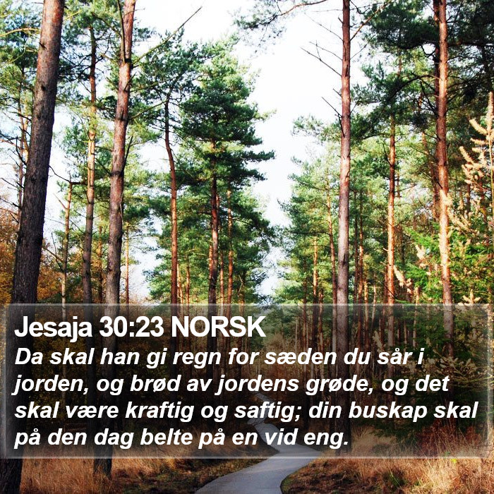Jesaja 30:23 NORSK Bible Study
