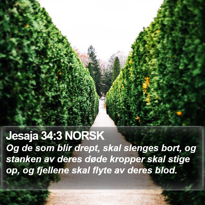 Jesaja 34:3 NORSK Bible Study