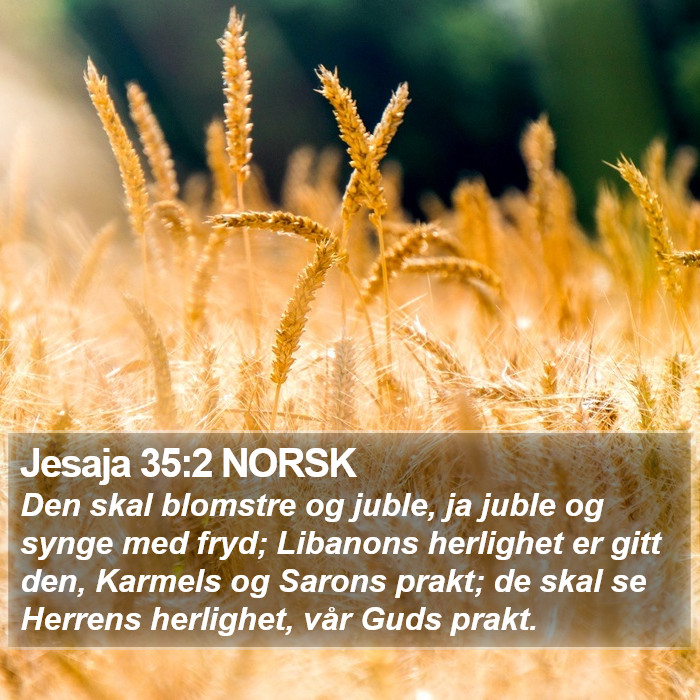 Jesaja 35:2 NORSK Bible Study