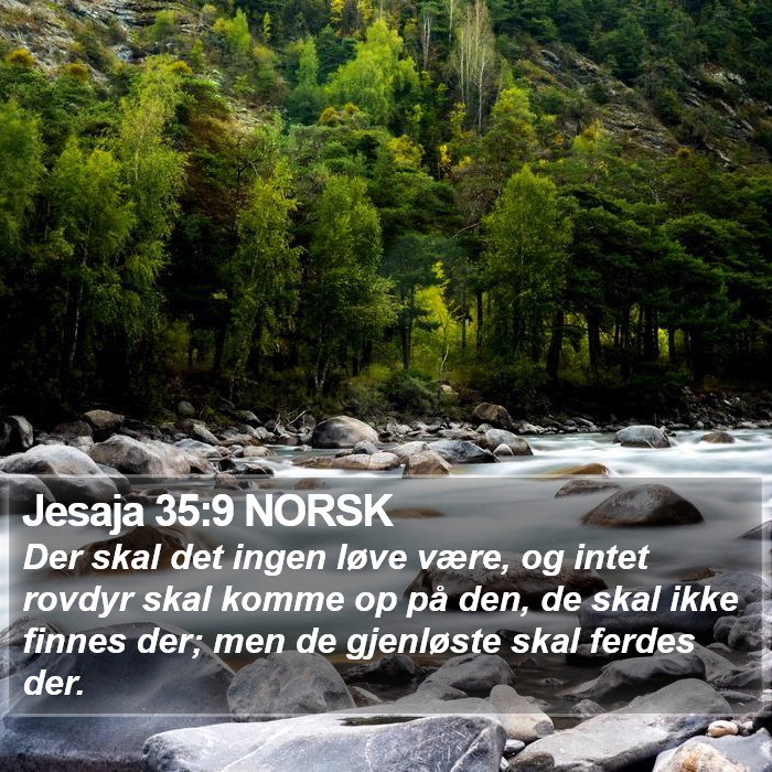 Jesaja 35:9 NORSK Bible Study