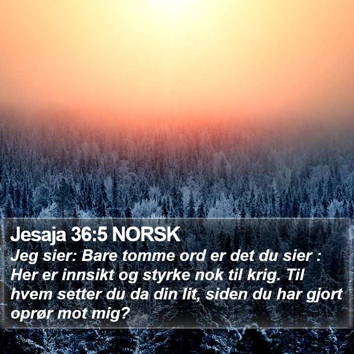 Jesaja 36:5 NORSK Bible Study