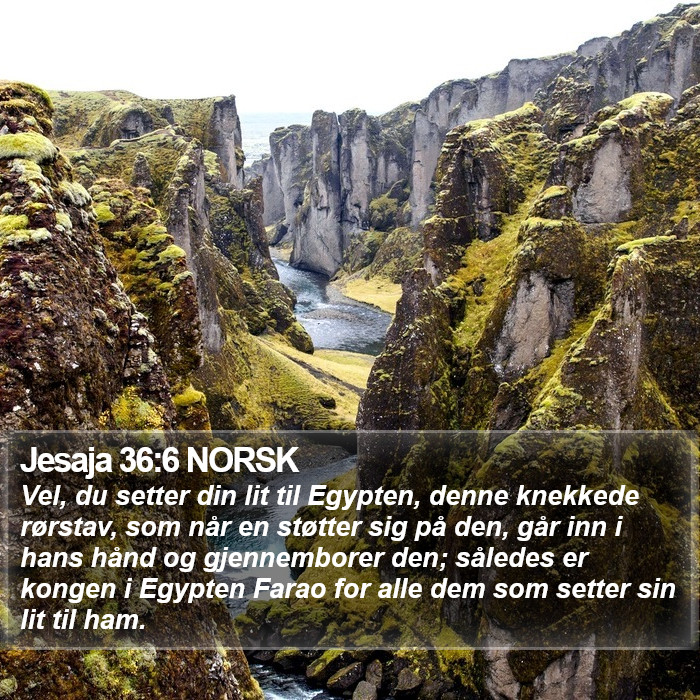Jesaja 36:6 NORSK Bible Study