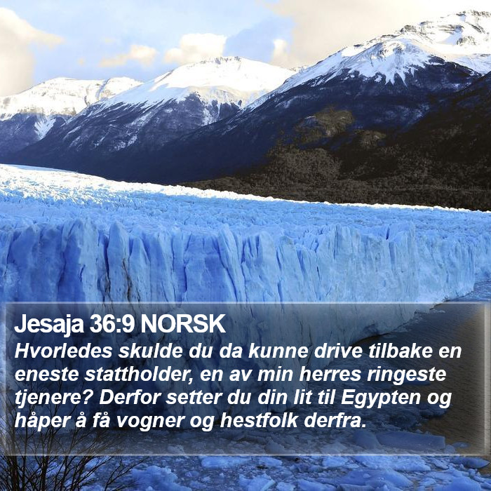 Jesaja 36:9 NORSK Bible Study