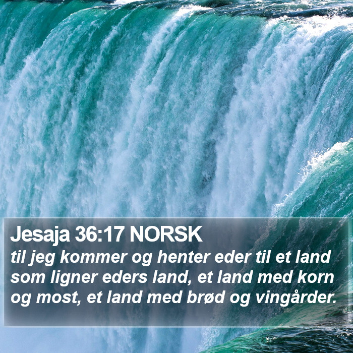 Jesaja 36:17 NORSK Bible Study