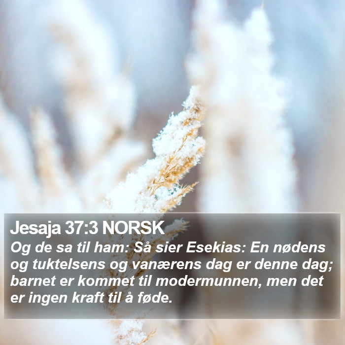 Jesaja 37:3 NORSK Bible Study