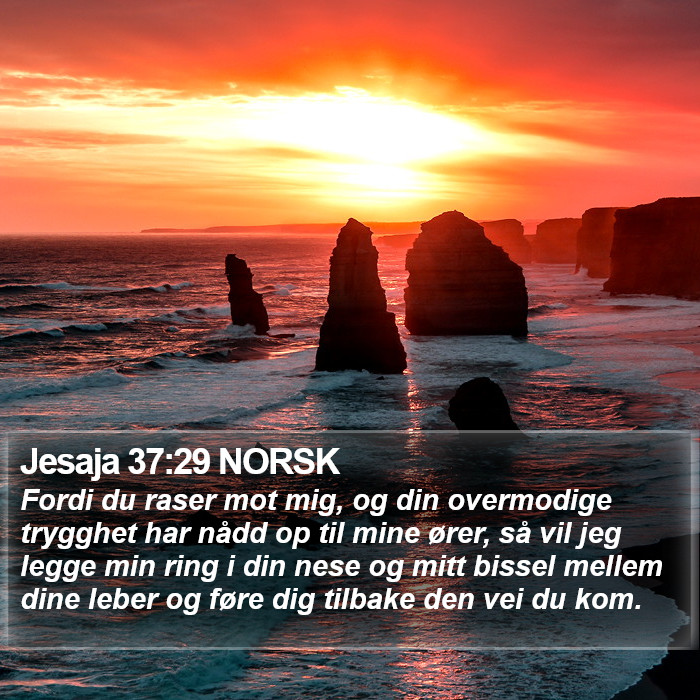 Jesaja 37:29 NORSK Bible Study