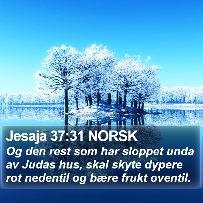 Jesaja 37:31 NORSK Bible Study