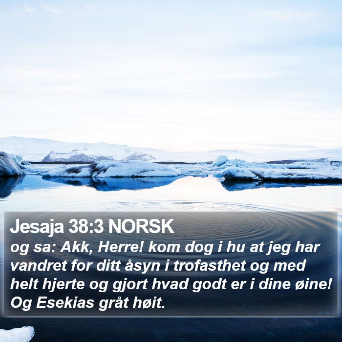 Jesaja 38:3 NORSK Bible Study