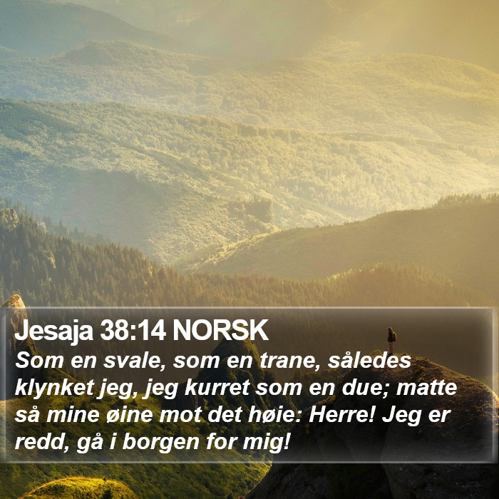 Jesaja 38:14 NORSK Bible Study