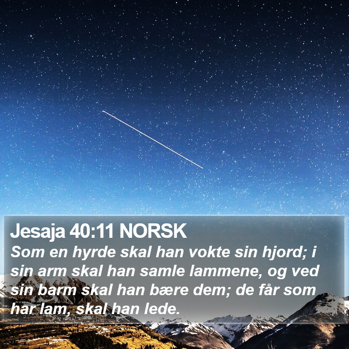 Jesaja 40:11 NORSK Bible Study