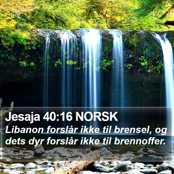 Jesaja 40:16 NORSK Bible Study