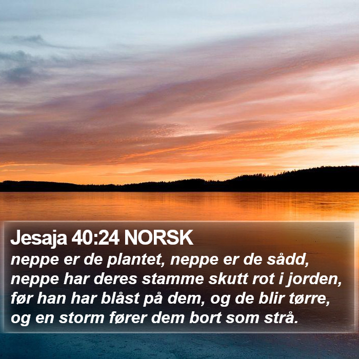 Jesaja 40:24 NORSK Bible Study