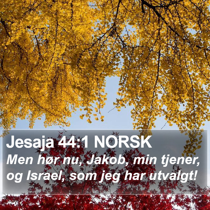 Jesaja 44:1 NORSK Bible Study